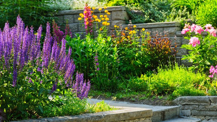 Greeley Gardening